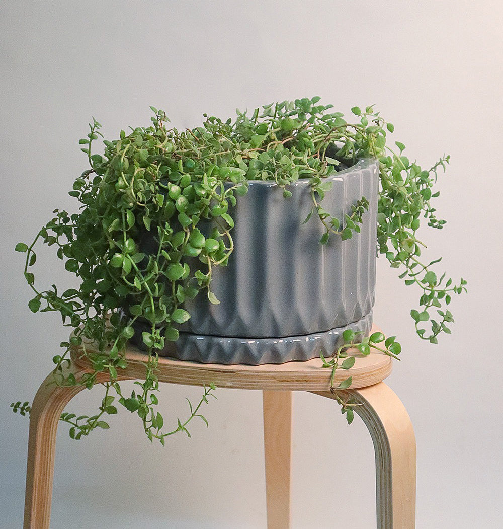 Corrugated Planter (Grey)