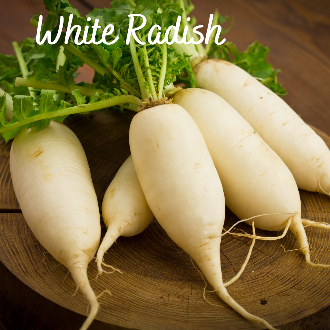 White Radish Vegetable Seeds – Garden Up Store
